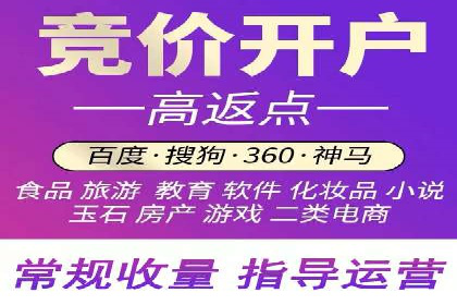 SEM优化技巧：实战案例深度剖析